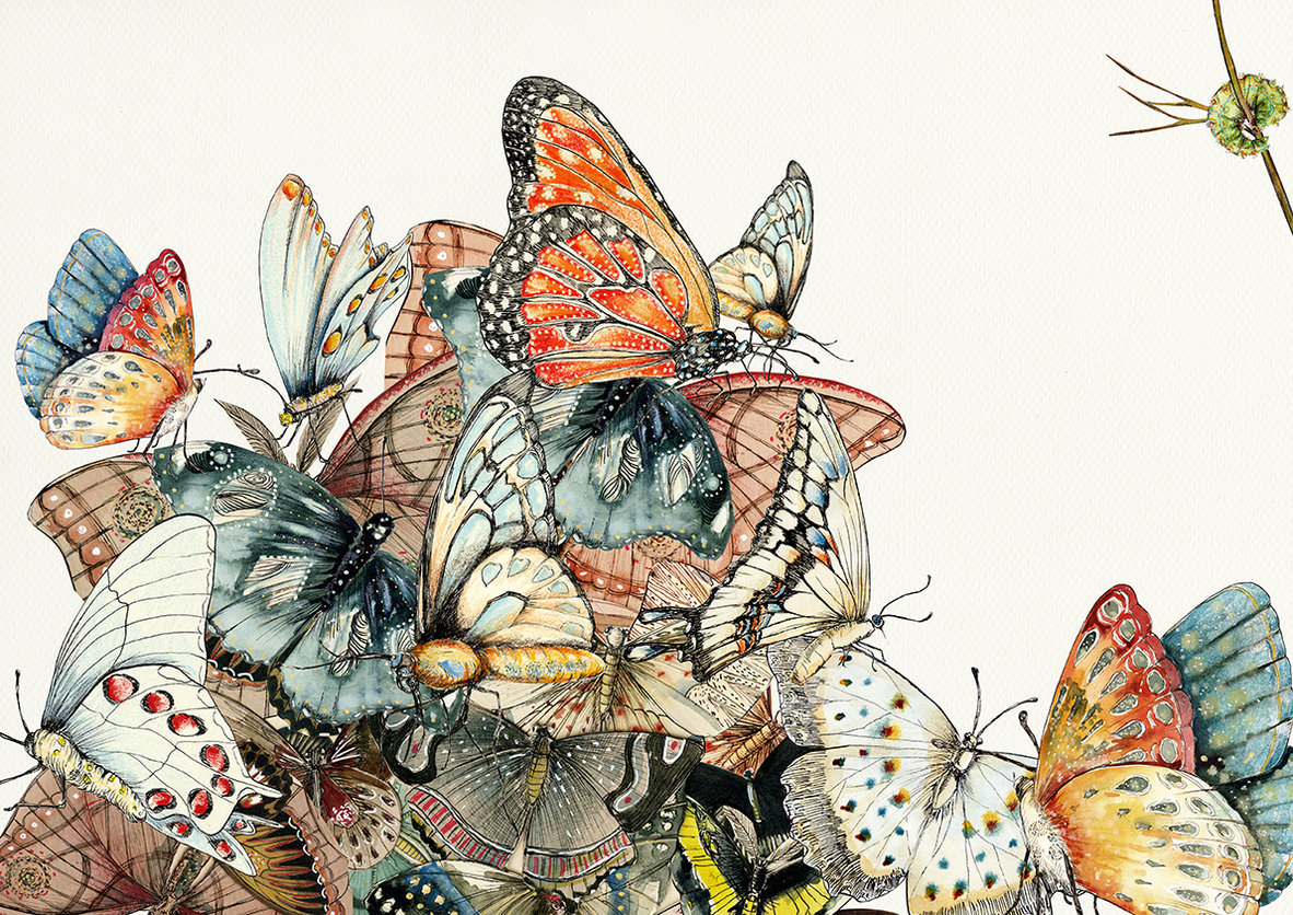 Ilustração detalhada de várias borboletas coloridas reunidas, em estilo aquarela, por Daniela Murgia.
